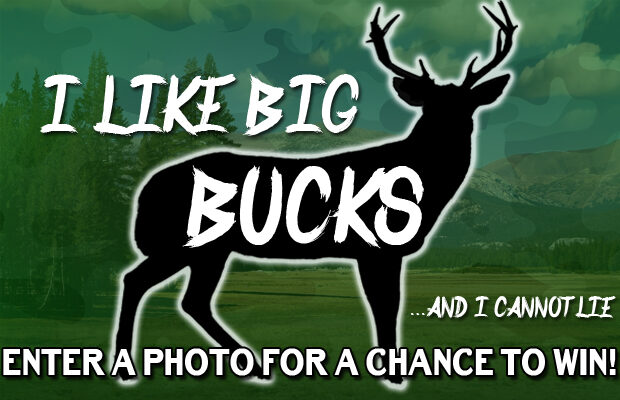 Enter your trophy buck here!